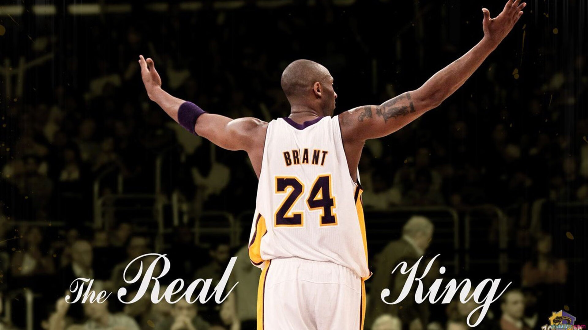 LOL选手个人能力评估：谁将成为下一个超级明星，lol职业选手能力图在哪里看