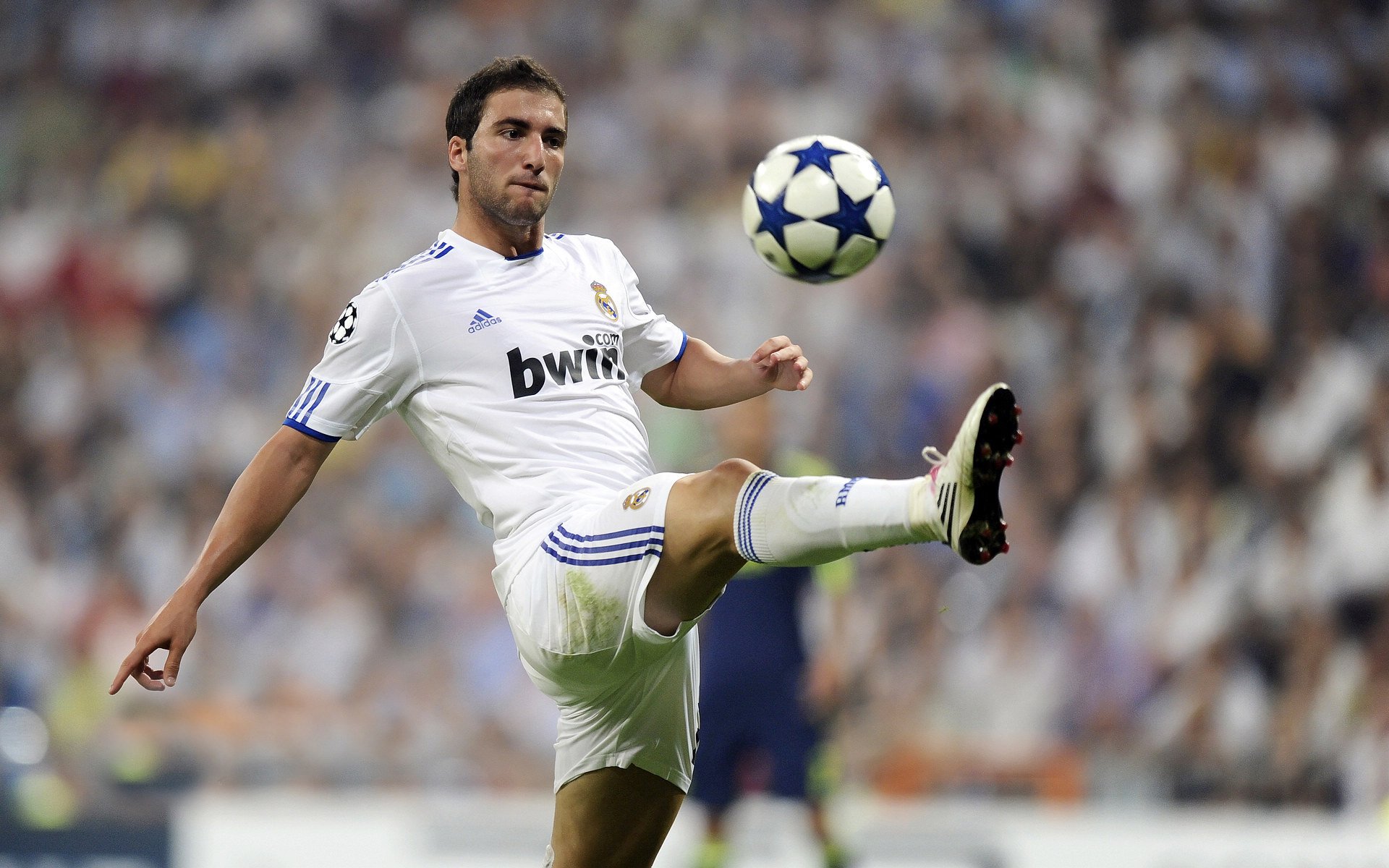 欧冠足球文化:跨越国界的欢聚盛典,欧冠足球干货